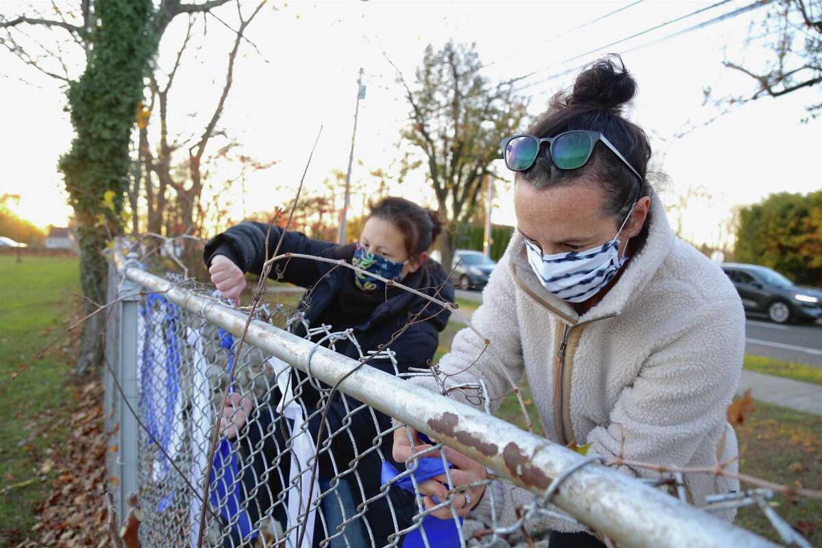 Mms darien teacher homework 08 image