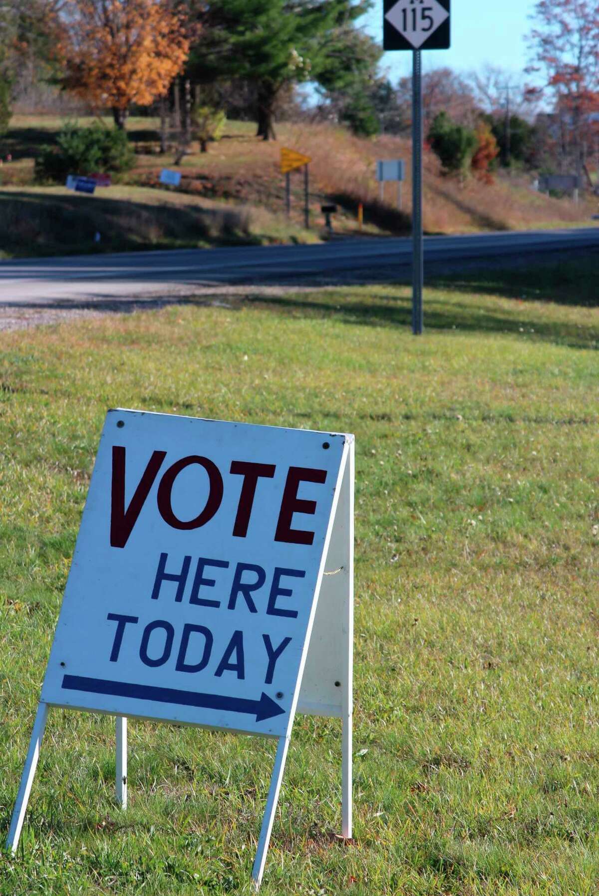 A sign outside of the Crystal Lake Township Hall on Nov. 3 lets people know it is a polling place. The township saw a huge increase in absentee ballot voting. (Photo/Colin Merry)