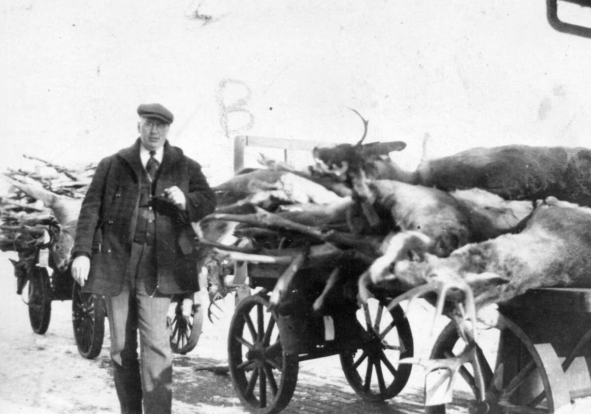 Deer season was always a busy time for George Weaver, butcher and owner of Weaver's Meat Market in Honor. These railway carts of deer were probably retrieved from the Honor depot, shipped back by successful hunters. (Courtesy Photo)