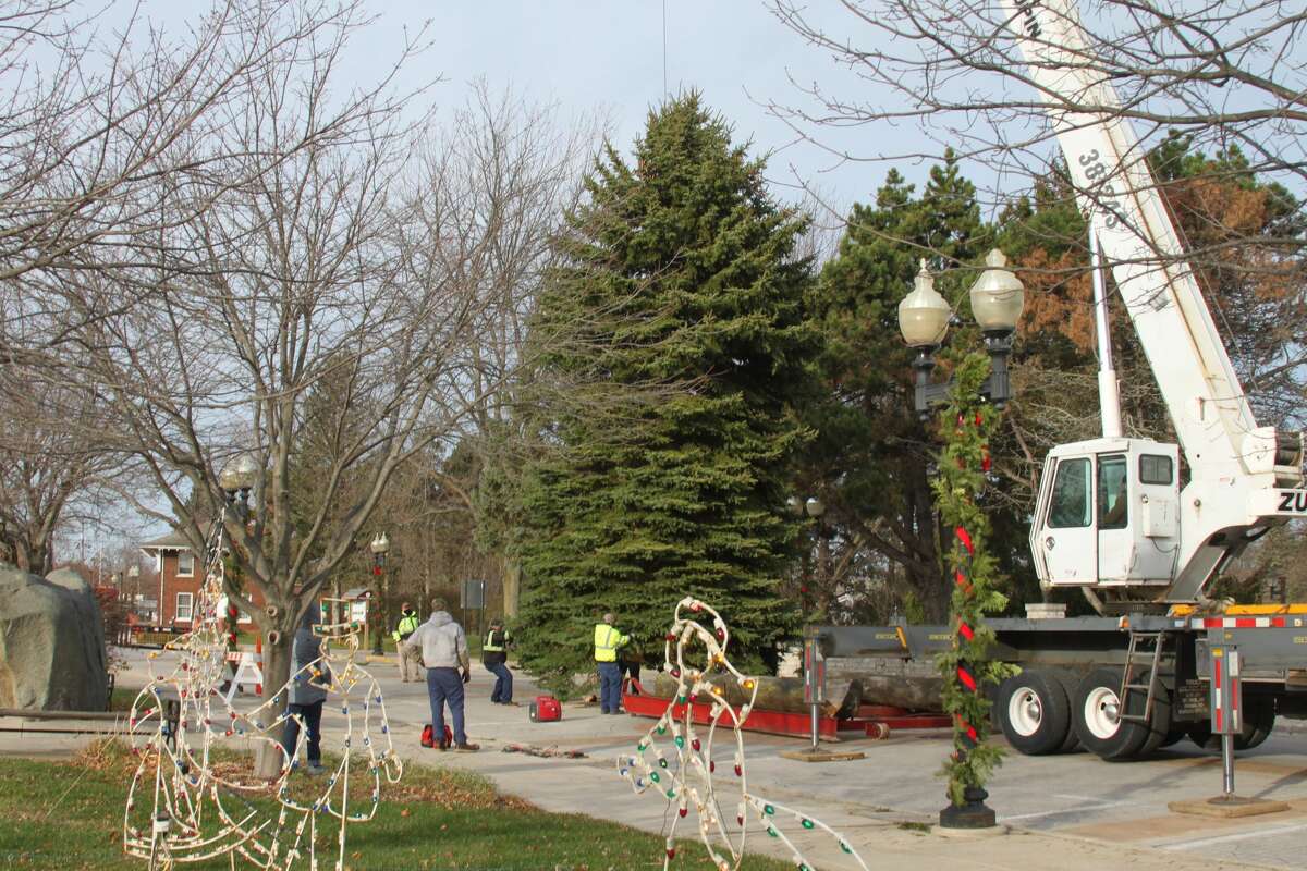 The Department of Public Works erected Manistee's 2020 Christmas tree near the the Marina Building on Thursday.