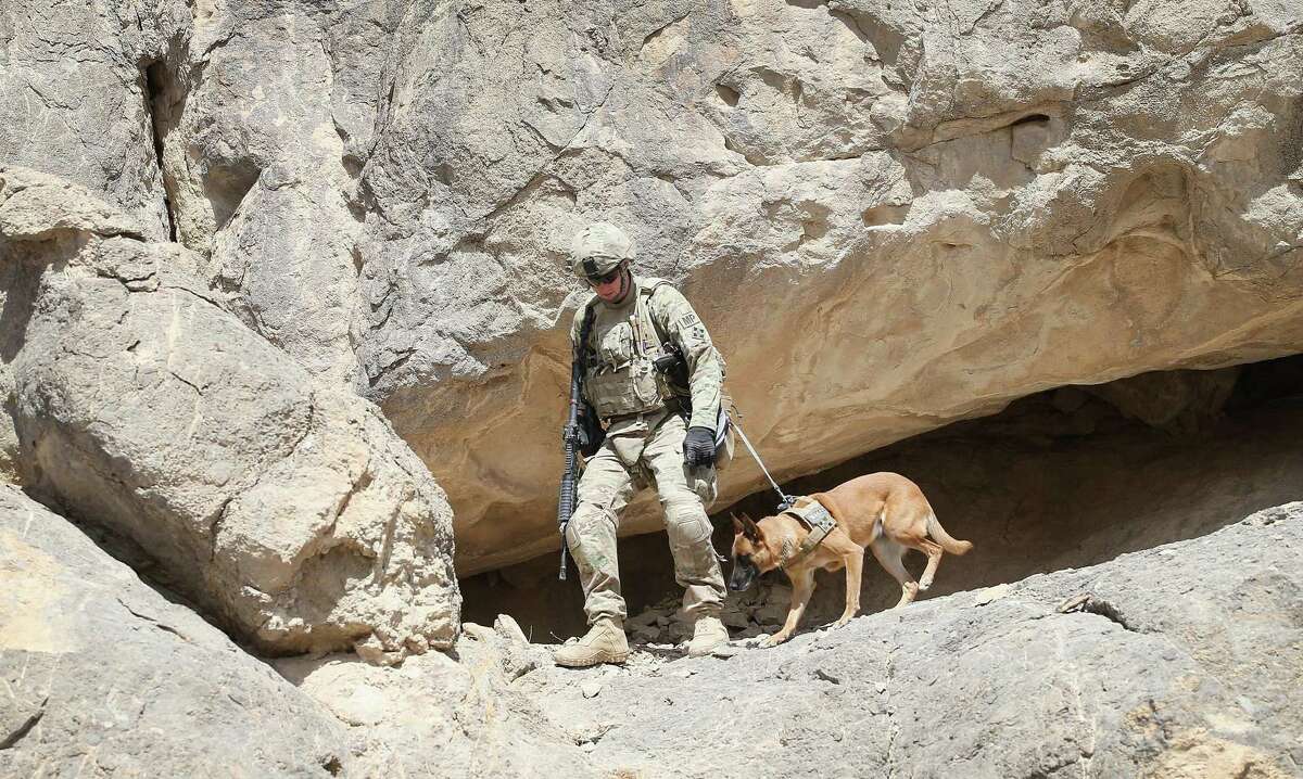 Dogs have been used by armies around the world for centuries.