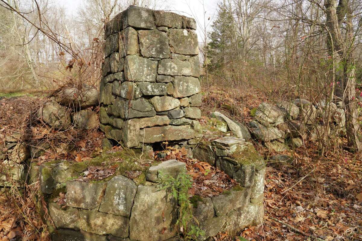 The chimney near the marsh pond at the New Canaan Nature Center is mentioned in the 84-page report on how to improve the vegetation, animal habitats and understanding of the 39-acre park on 144 Oenoke Ridge.