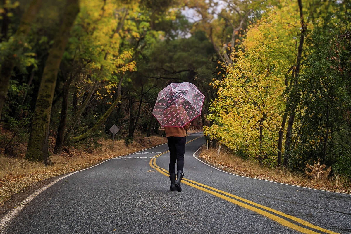 In this file photo, beautiful fall foliage lines Stevens Canyon Road in Cupertino.