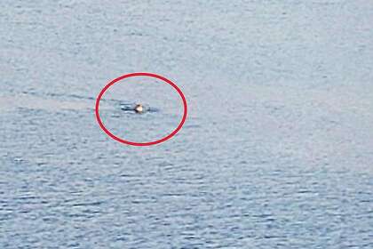 Federal prosecutors said FBI agents followed the bubbles from Matthew Piercey's submersible device until he surfaced in Lake Shasta and was arrested.