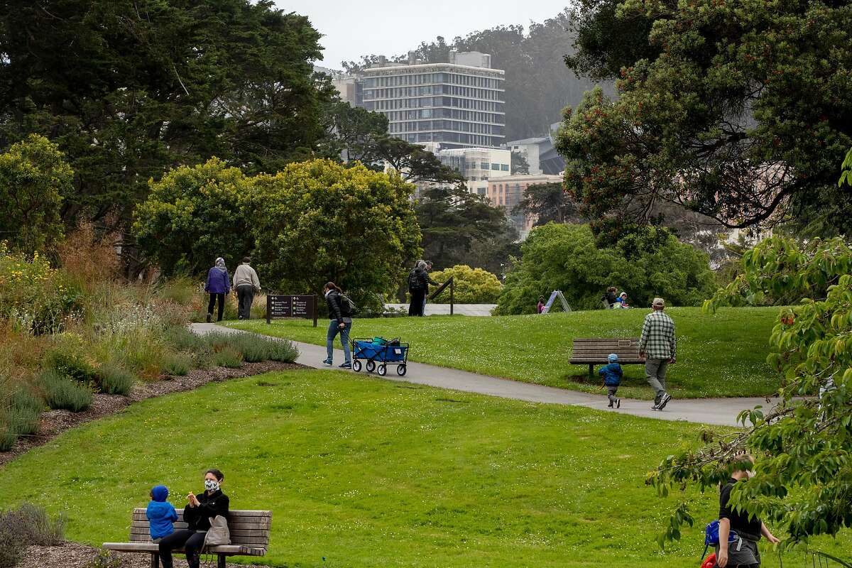 6月，在金门公园内的旧金山植物园，游客们戴着口罩保持社交距离。低收入家庭现在可以免费参观花园。