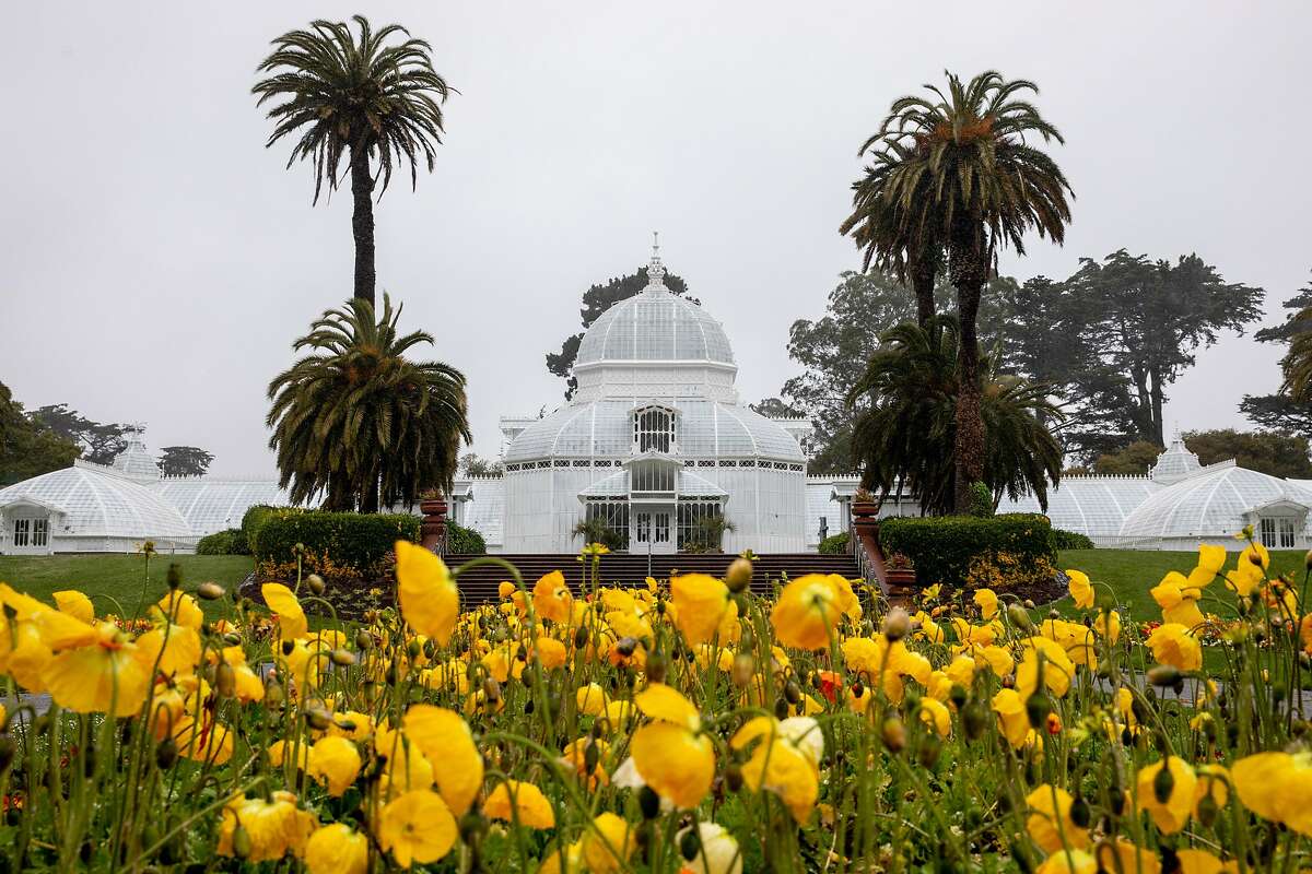 Low-income families can now visit the Conservatory of Flowers in Golden Gate Park, shown in April, for free.