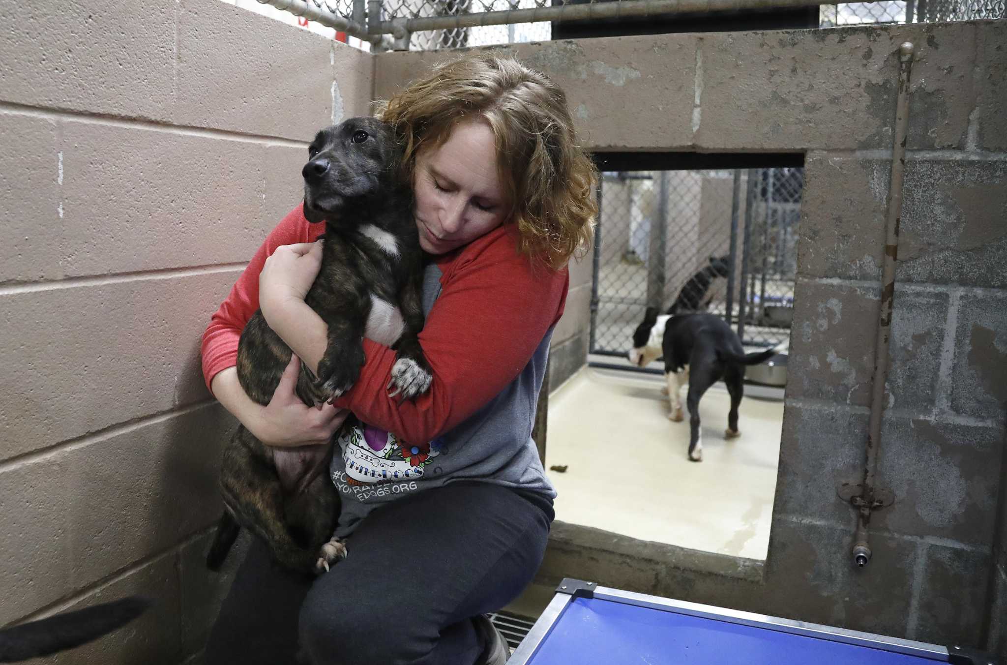 Inside a woman’s quest to save shelter pets in Houston and beyond — one ...