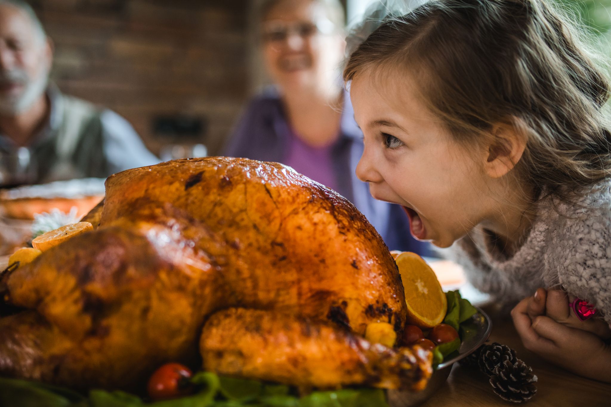 An Idiot s Guide To Making Your First Thanksgiving Feast