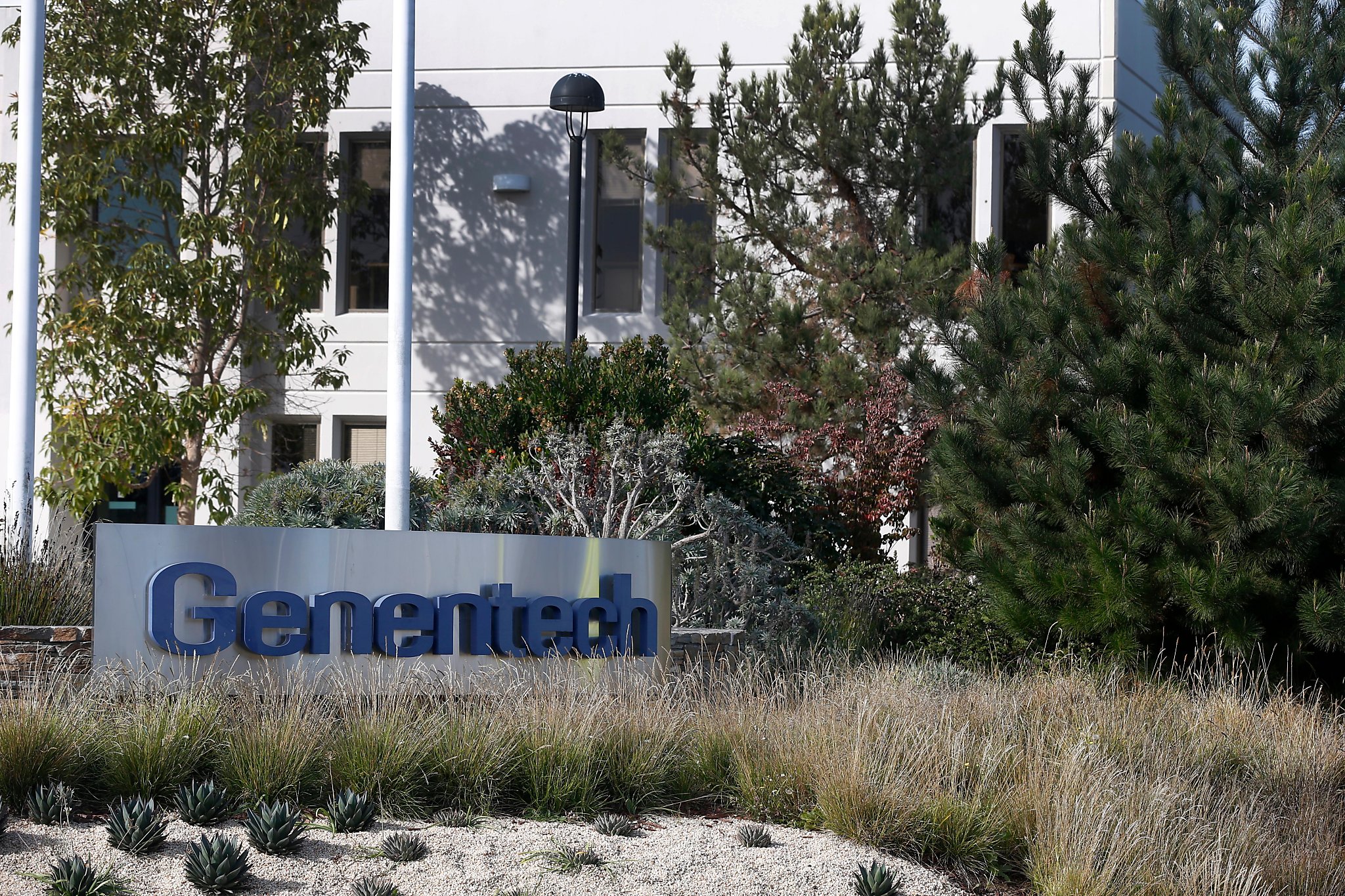 Genentech wins approval for enormous headquarters enlargement in South