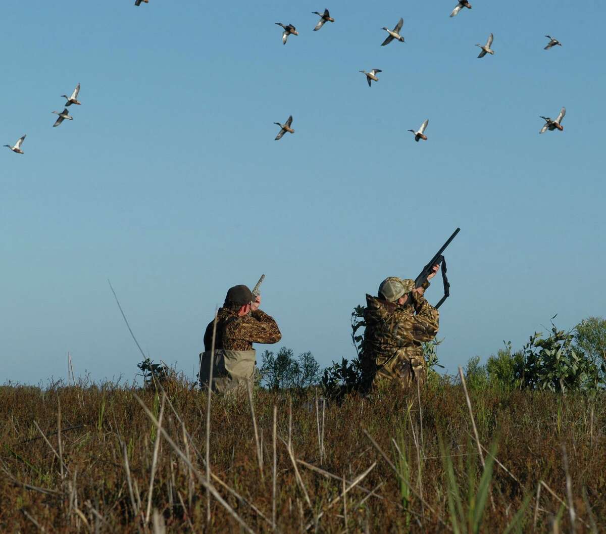 2020 may be banner year for duck hunters