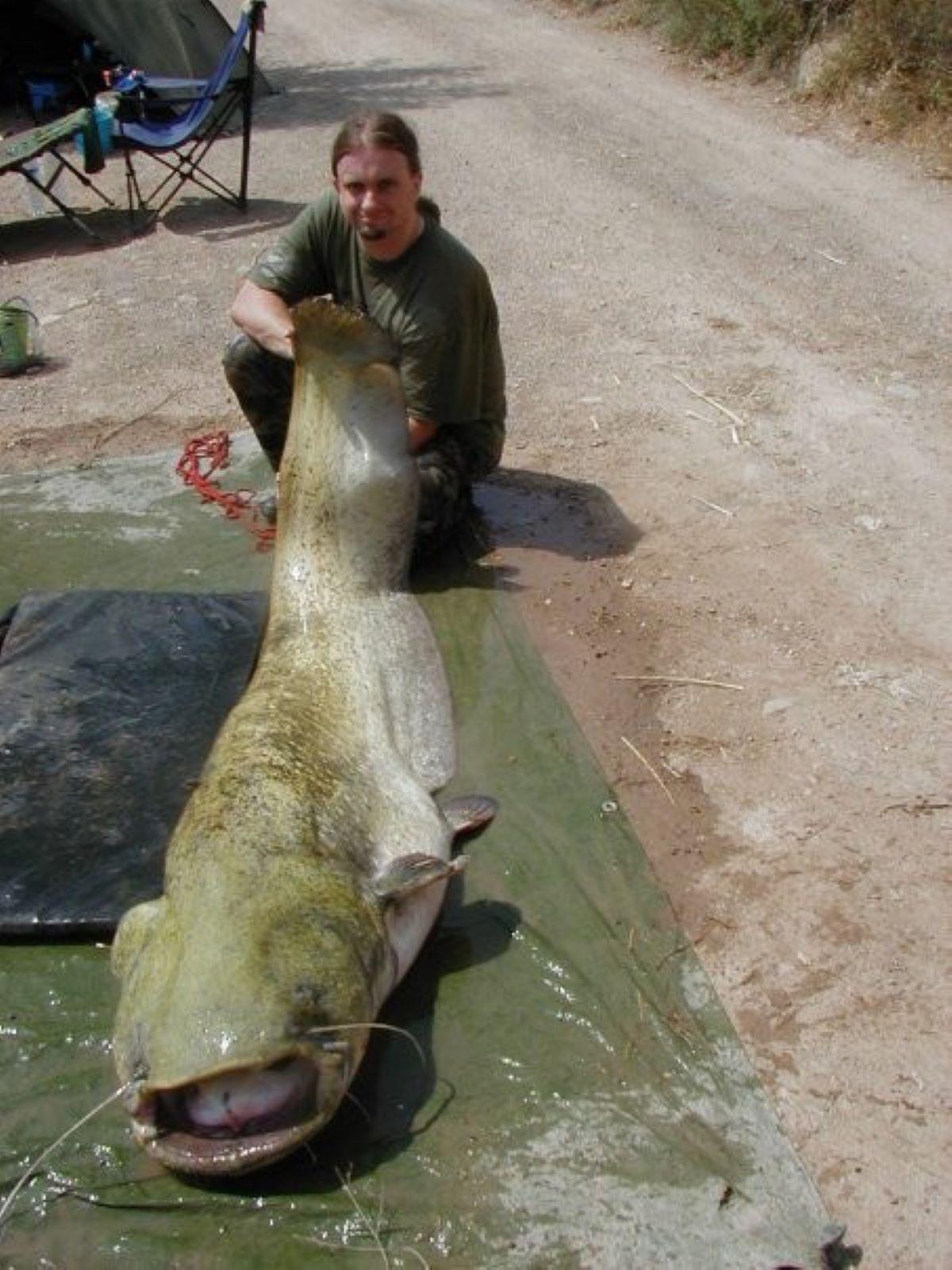 Angler uses hands to pull in giant catfish after net breaks