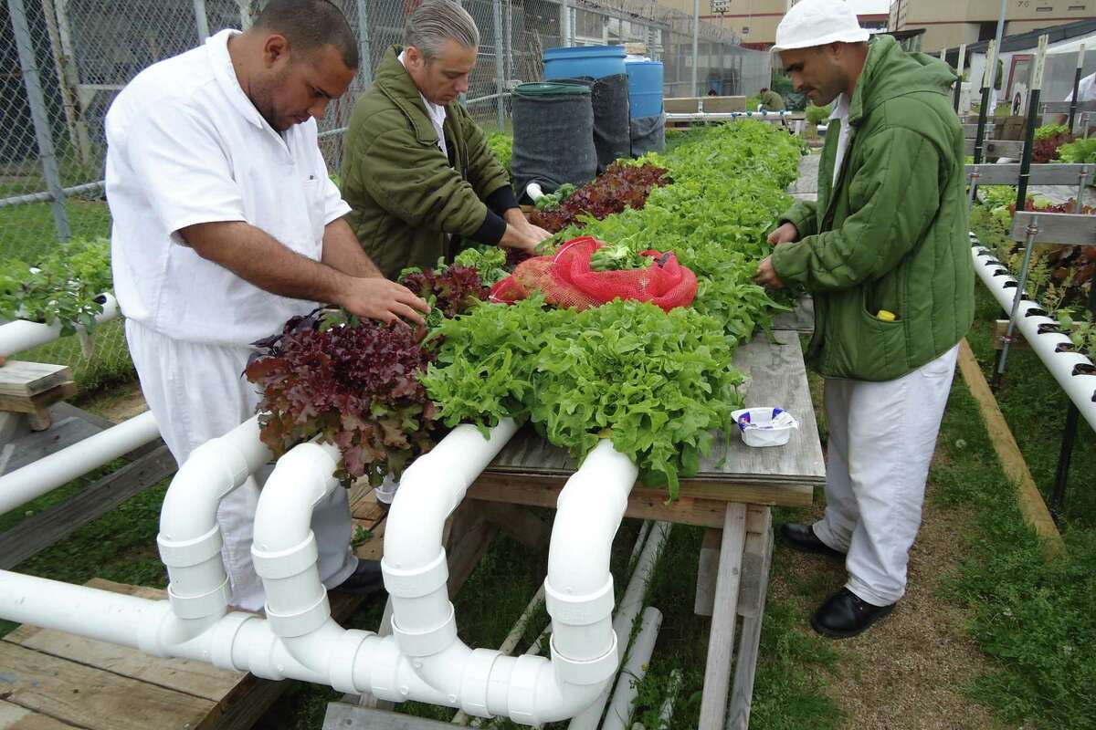 Photo essay examples picture