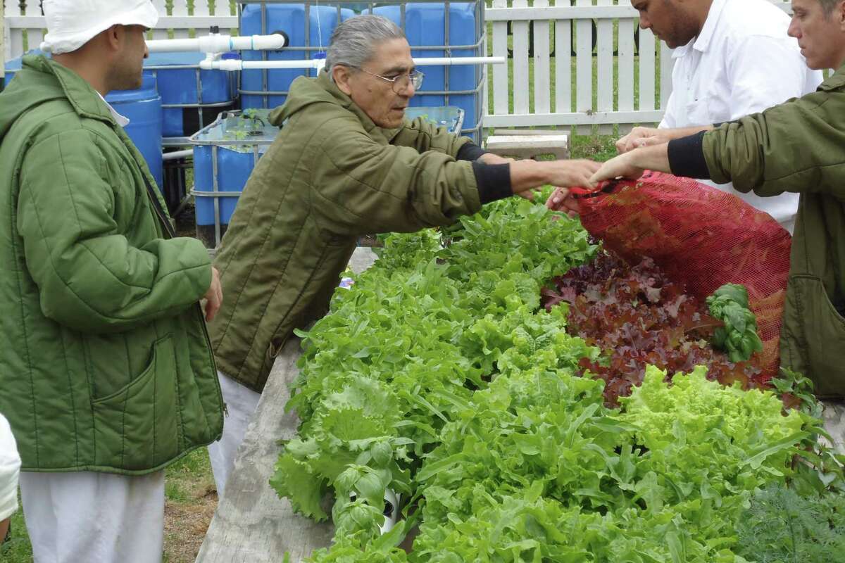 Hungry planet: what the world eats answers picture