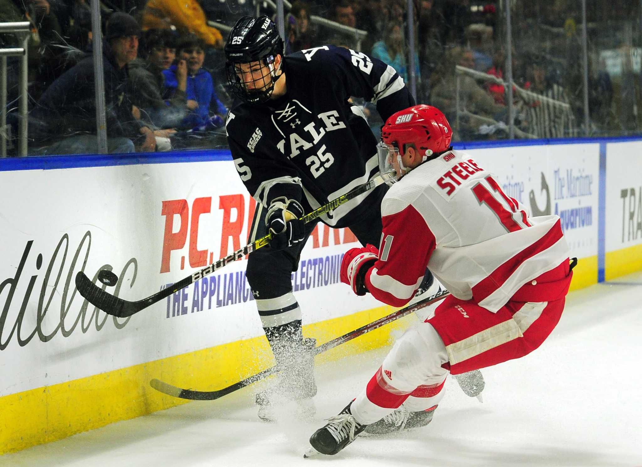 Michael Webster - Men's Ice Hockey - University of Toronto Athletics