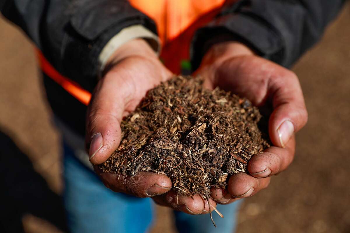 Fabian Arreola, store manager at Vision Recycling in Livermore, shows off a handful of fresh mulch in November.