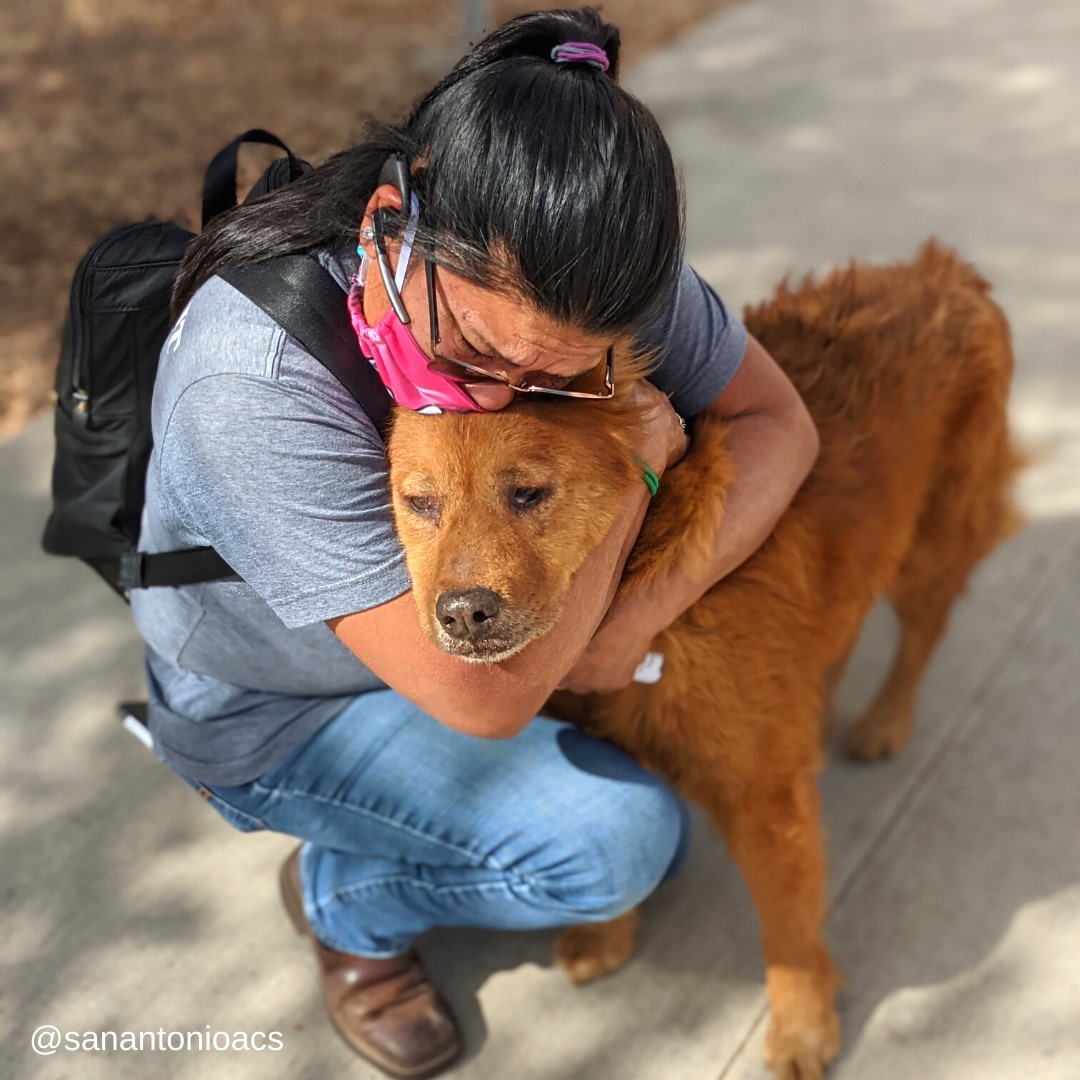 San Antonio dog gets 'emotional' reunion with owner after 7 years