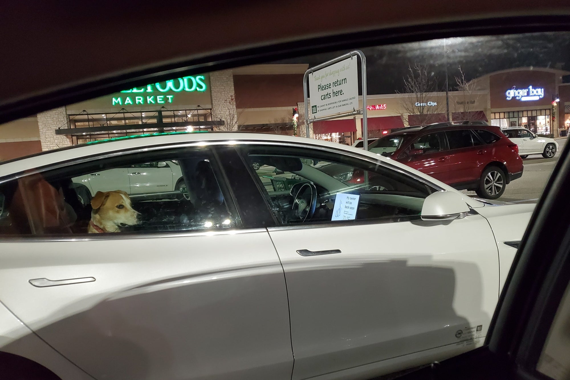 how does tesla dog mode work