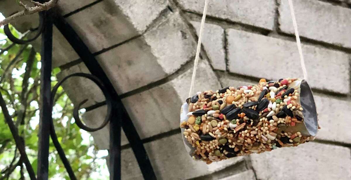 It’s easy — if a little messy — to transform a toilet paper tube into a bird feeder.