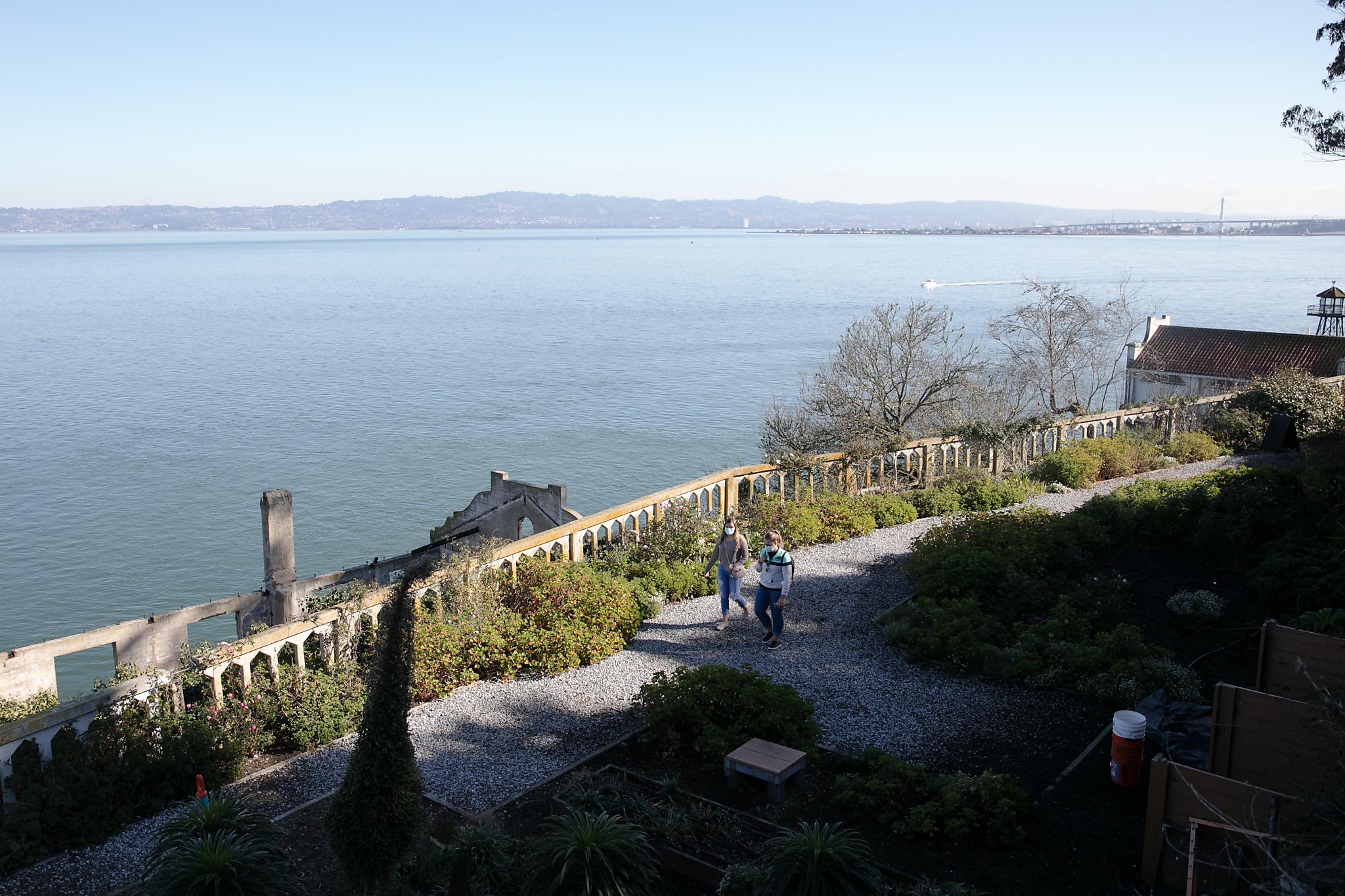 Rare Rose Rediscovered on Alcatraz 30 Years Ago Teaches Resilience Today