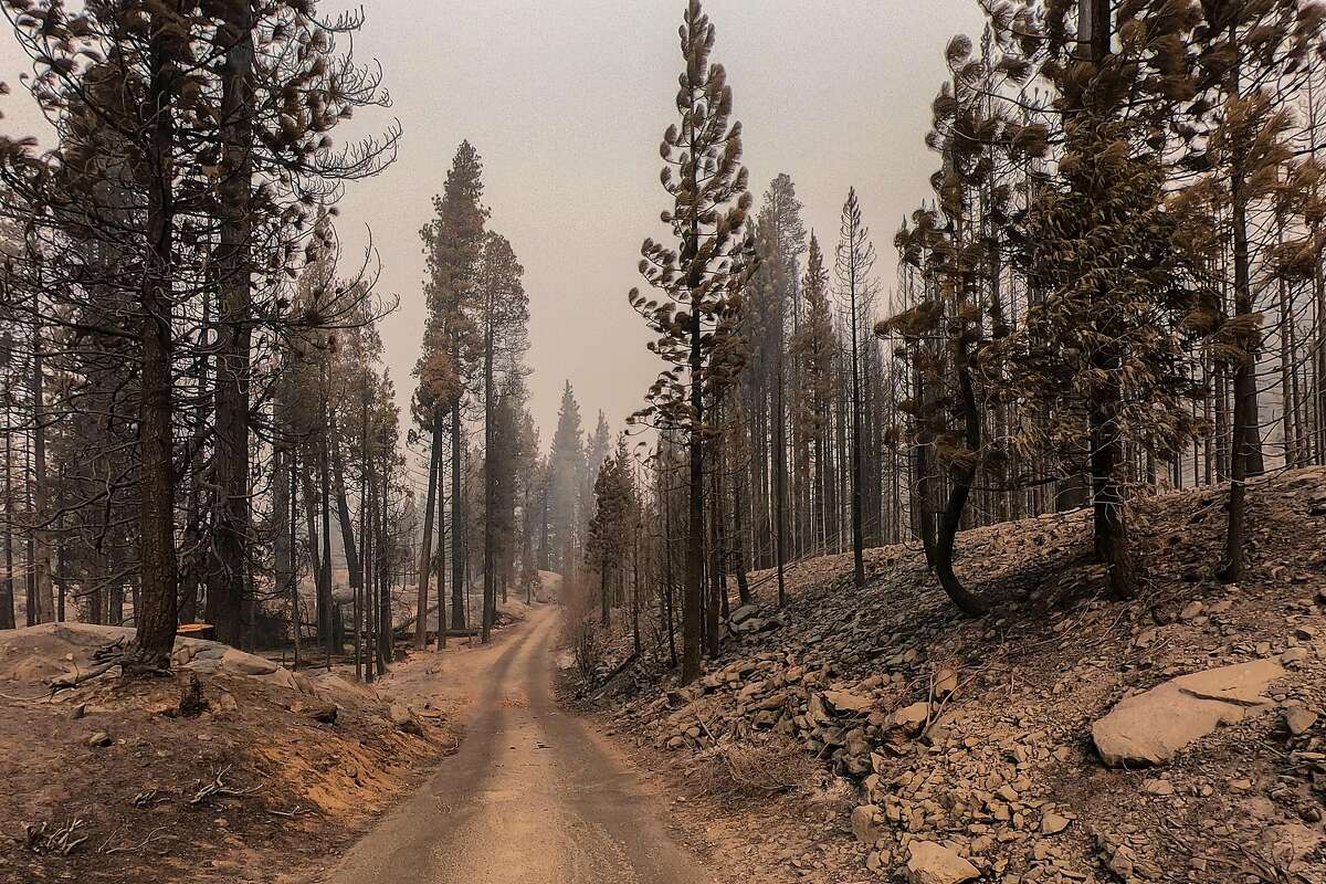 An area of the Sierra National Forest in California, damaged by the Creek Fire, on Oct. 21, 2020.