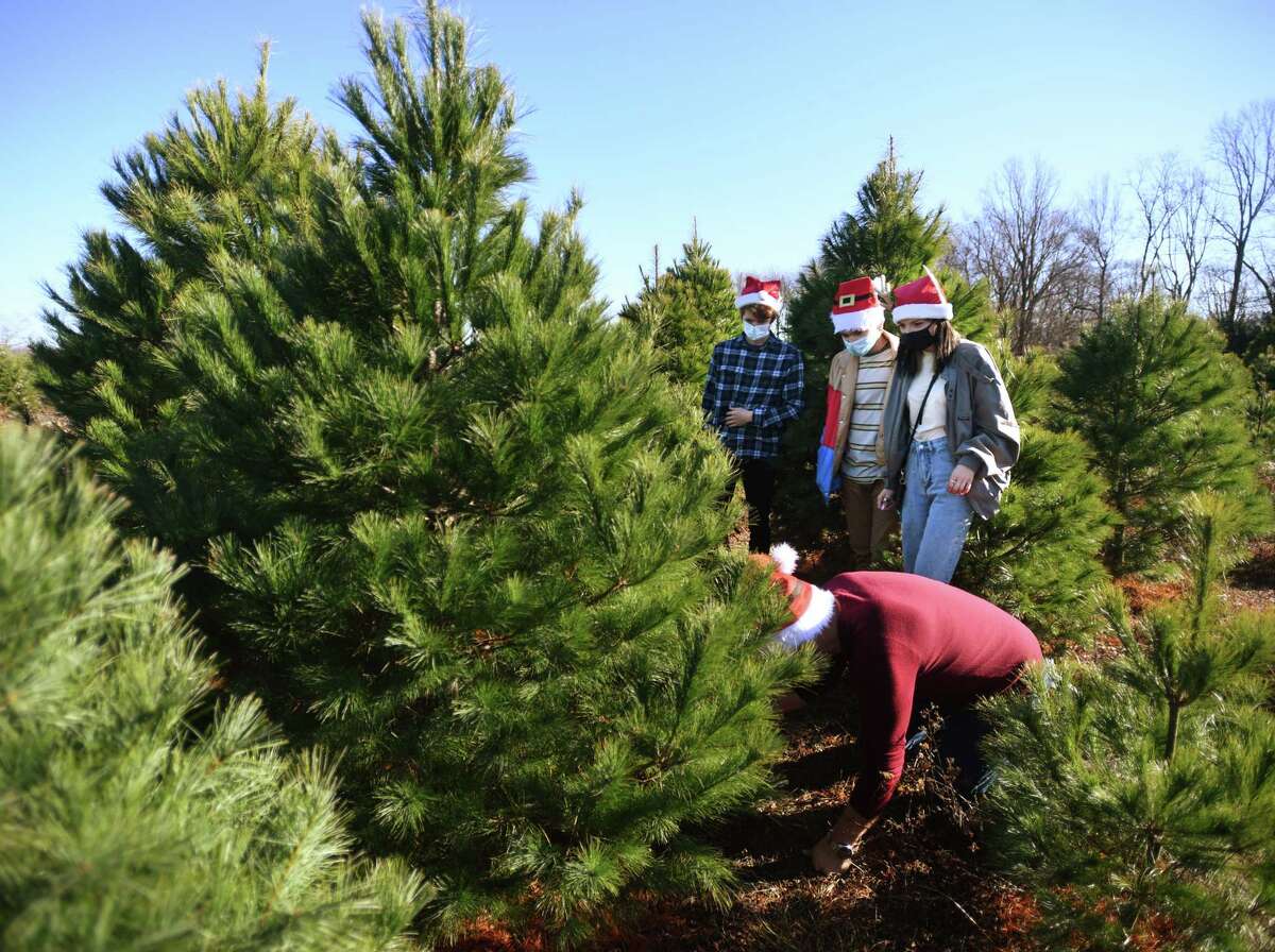 25 Unique Things Mainers Put on Top of Their Christmas Trees