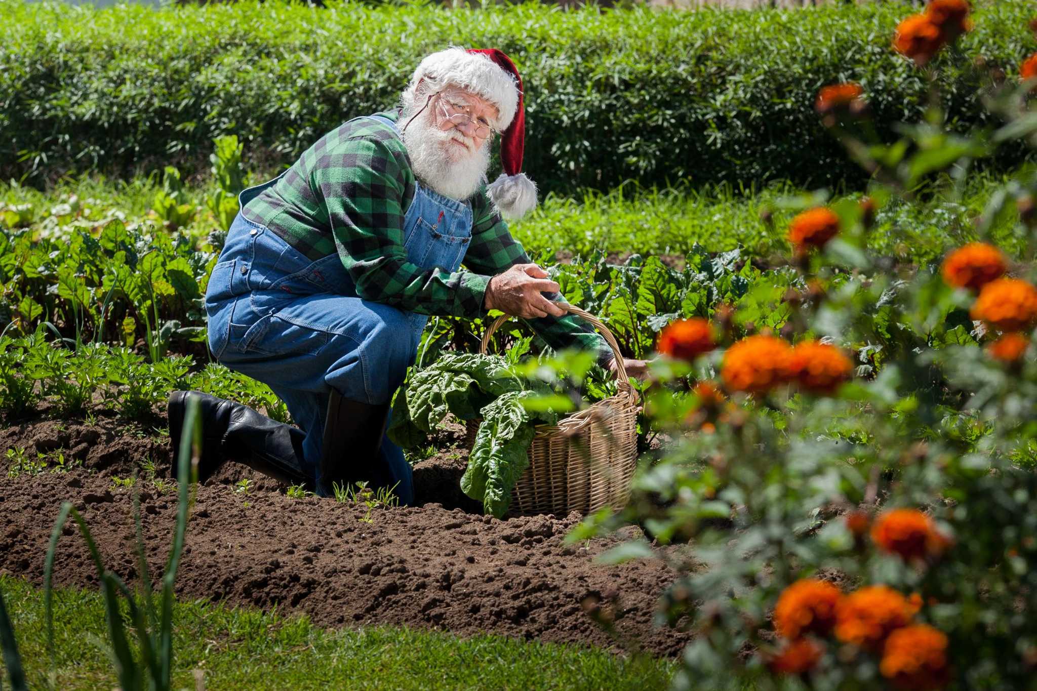 Calvin Finch Christmas gift ideas for the gardener on your list