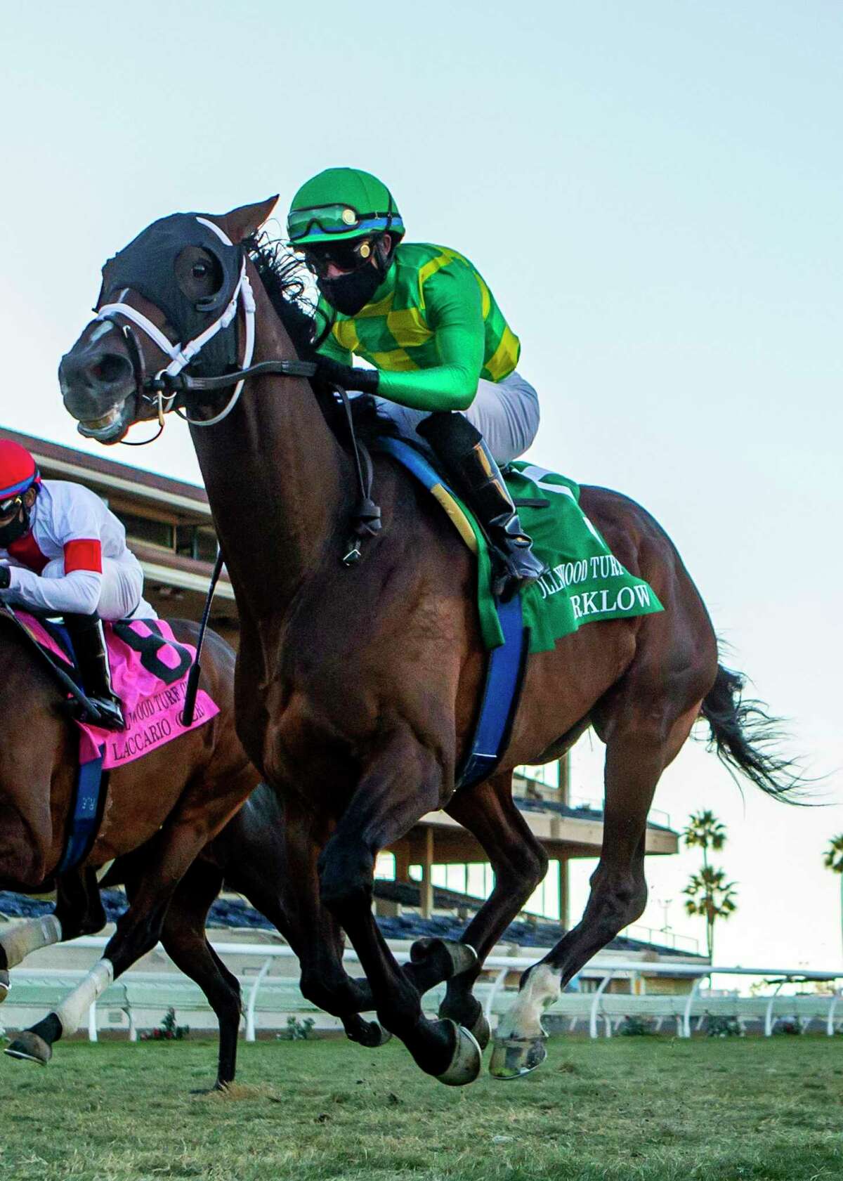 Arklow and jockey Joel Rosario win the Hollywood Turf Cup horse race on Friday in Del Mar, Calif.