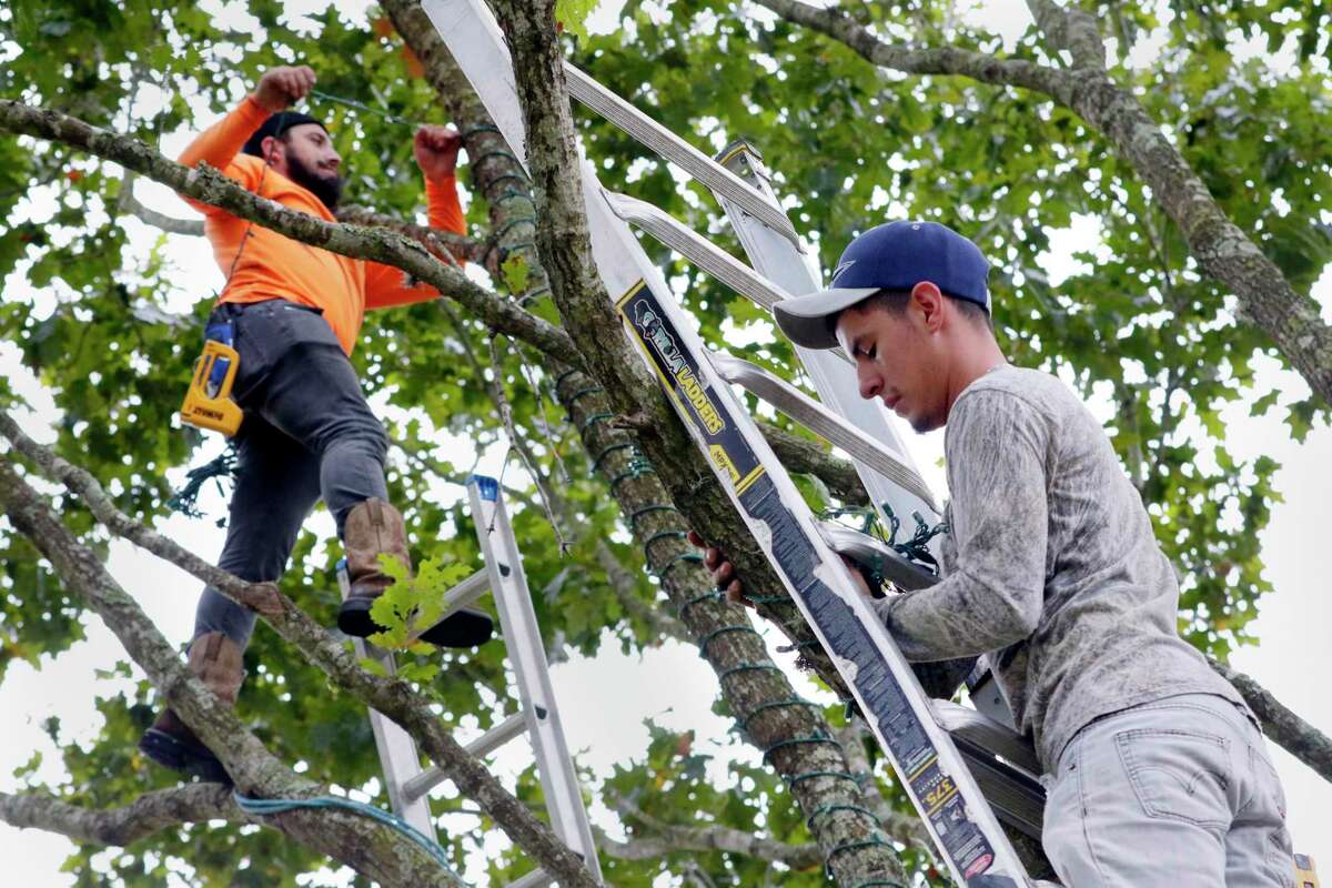 To get in the holiday spirit, these Houstonians spend 5,000+ on