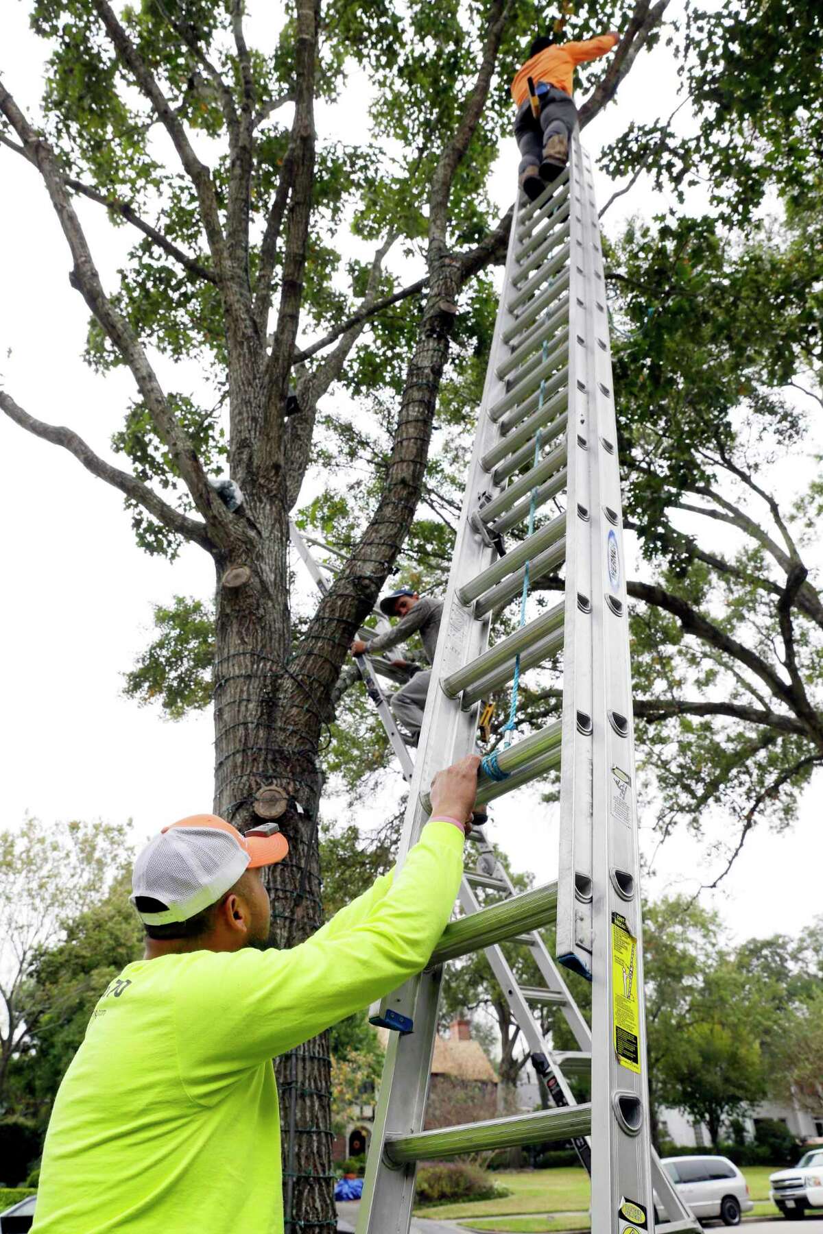 To get in the holiday spirit, these Houstonians spend 5,000+ on