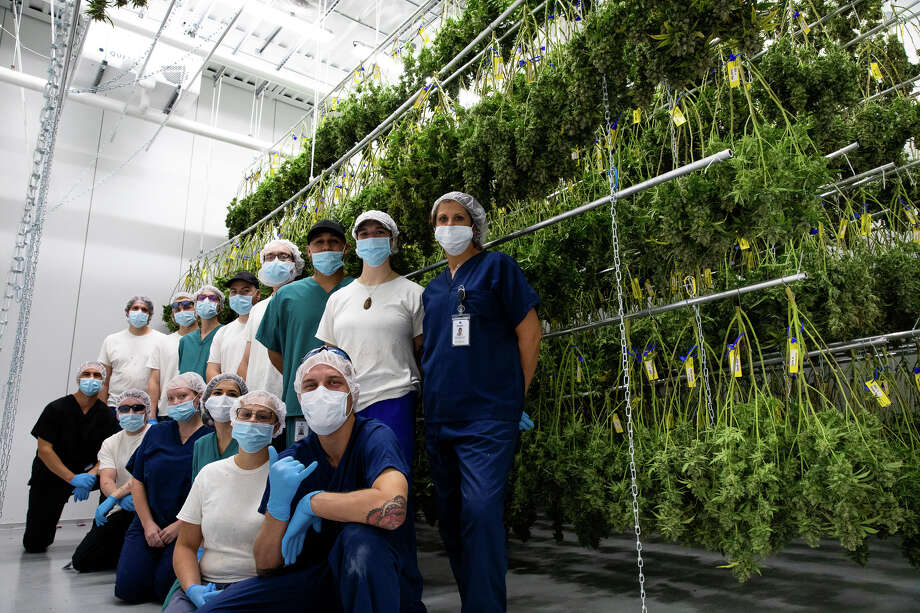 In April 2019, Lume Cannabis Company started the wave with a growing and processing facility in Evart. Now, after a year in operation, the company is in the process of expanding their facility. They were recently approved for a Class C grow license and an excess grower license. Photo: Photo Courtesy Of Lume Cannabis Company