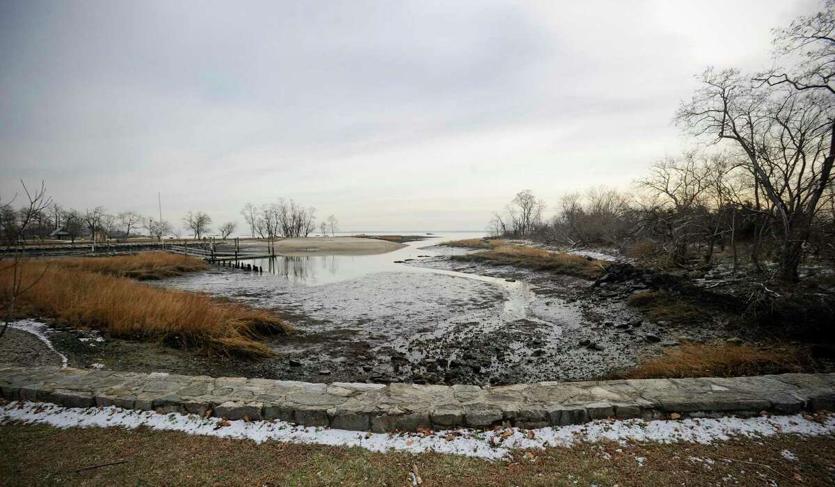 The inlet at the Cove Island Wildlife Sanctuary in Stamford on Dec. 21, 2019. The Connecticut Audubon Society's Birds of 2019, a list created each year to spur interest in conservation, because the state's bird population has fallen dramatically since 1970. Based on the reports of the society's many volunteers, the top birds of 2019 are the barred owl, sandhill crane and piping plover, but it also highlights many of the birds you find in the sanctuary.