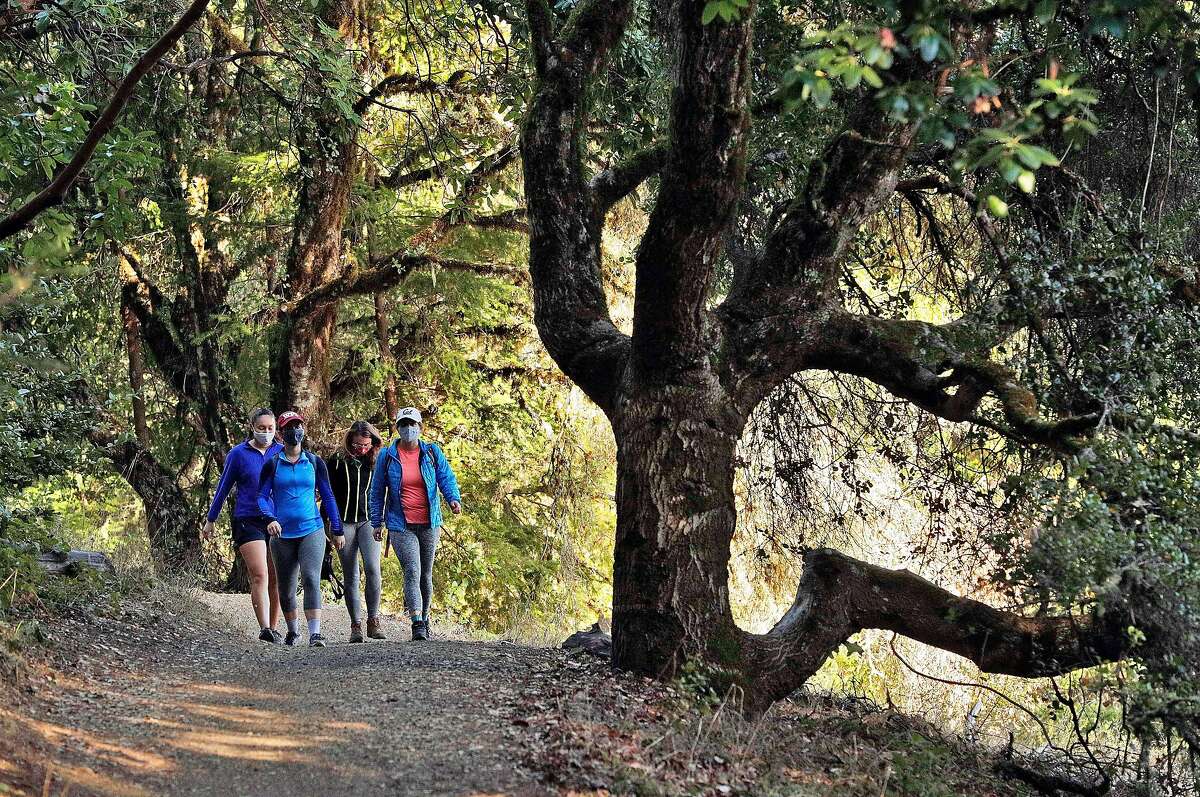 A group of women hikes on a trail at El Corte de Madera Open Space and Preserve outside Woodside, December 2, 2020.