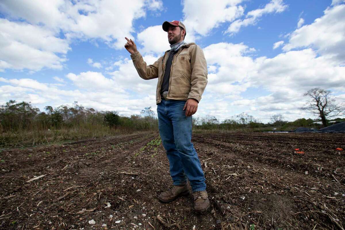 Hope Farms Managing Director Tyler Froberg stands on the growing beds that they just plowed with the farm's tractor last week Tuesday, Dec. 1, 2020, at Hope Farms in Houston. It appeared the thief broke into the farm and stole a tractor, farm equipment and Froberg's personal trailer on Thanksgiving Day.