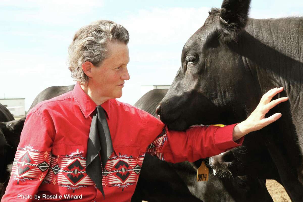 Colorado State University animal behavior professor Temple Grandin, who has autism, has kept busy writing during the pandemic.