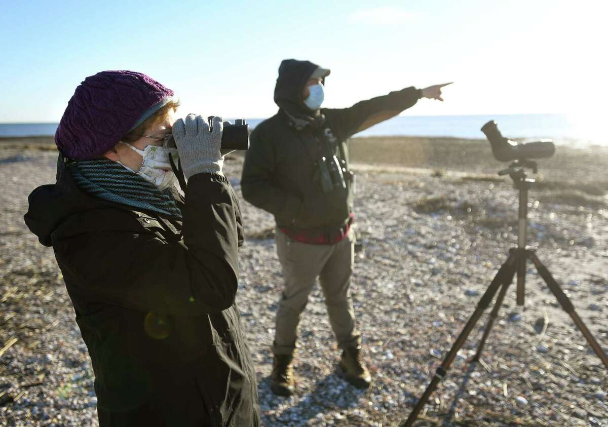 Pat Negro, left, of New Haven, observes birds with Audubon habitat steward Stefan Martin during a bird walk at the Audubon Coastal Center on Milford Point in Milford, Conn. on Thursday, December 3, 2020.
