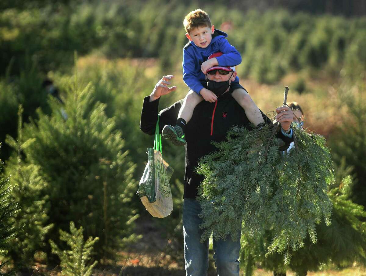 Jason Gooley, of Orange, gives a piggy-back ride to son Bryan, 6, after cutting their Christmas trees at Jones Tree Farm in Shelton on Sunday, Nov. 29.