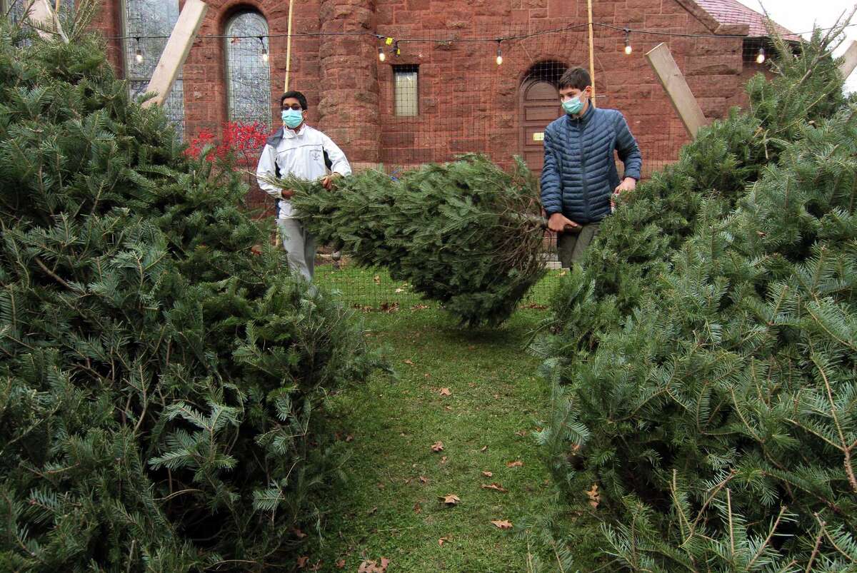 Boy Scout Troop 82's 56th Annual Christmas Tree Sale at First Church Congregational in Fairfield, Conn., on Saturday Nov. 28, 2020.
