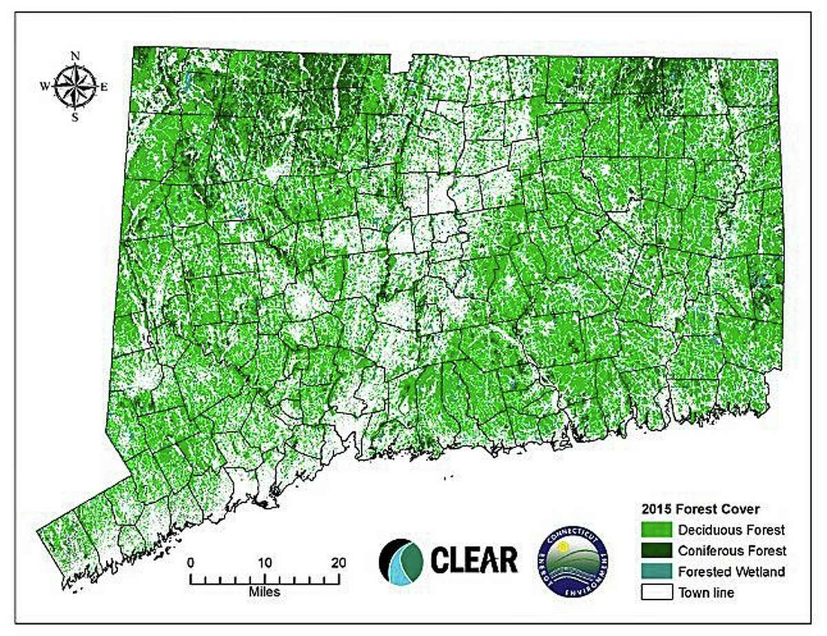 What you may not know about Connecticut’s forests
