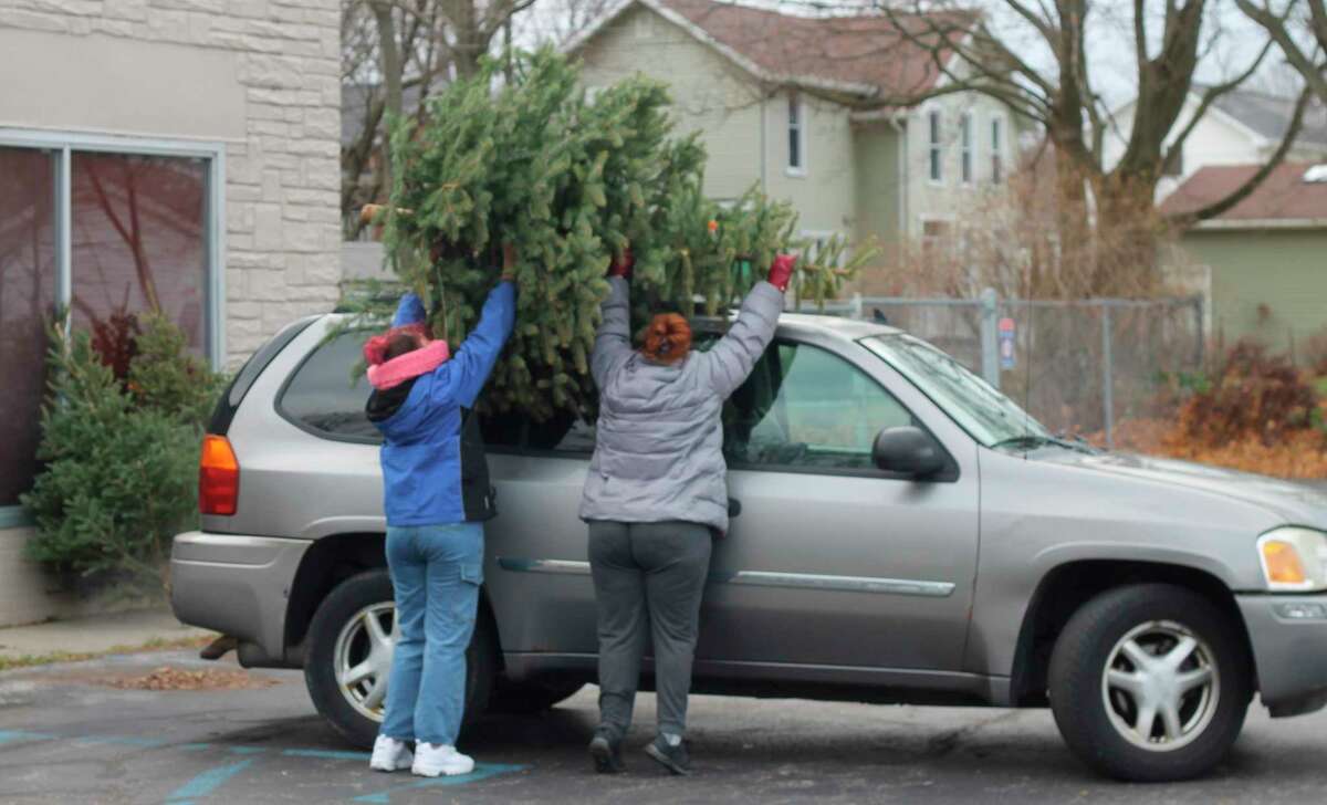 FiveCAP distributes Christmas trees to those in need