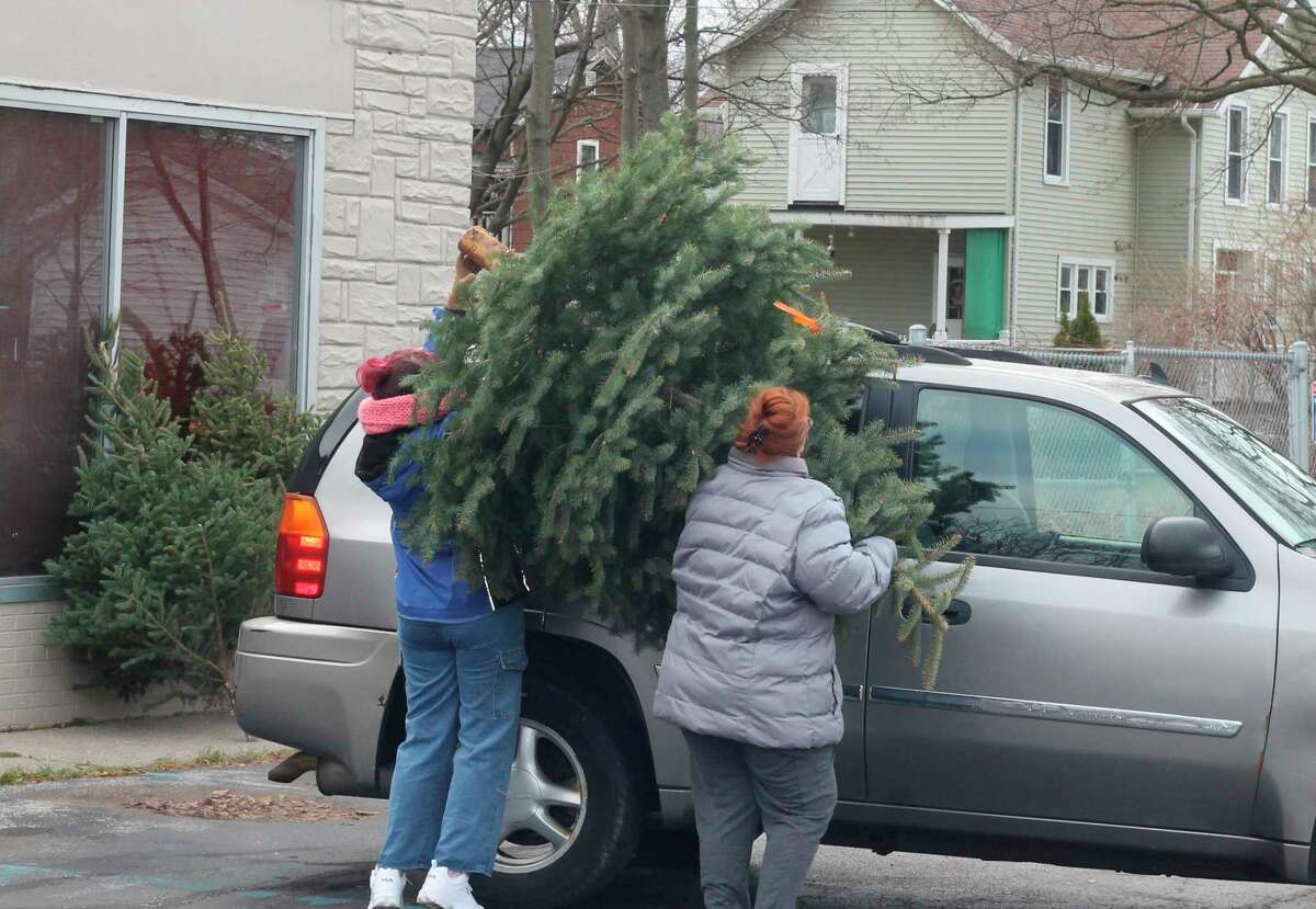 FiveCAP distributes Christmas trees to those in need
