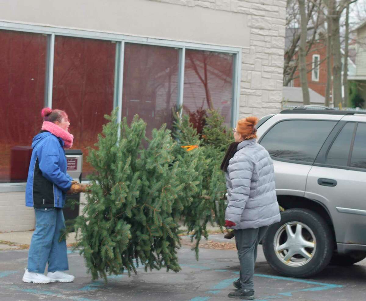 FiveCAP distributes Christmas trees to those in need