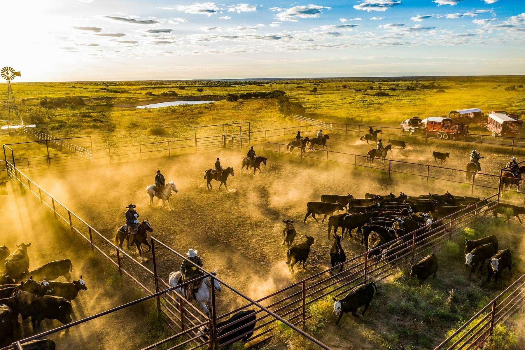 Famed Texas Ranch Said To Be Under Contract By Tv Show Creator