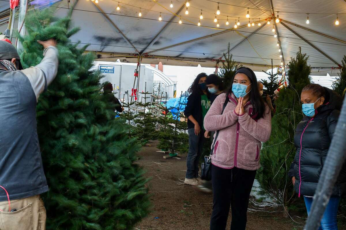 Ana Diosdado, left, and her mother Ana Gonzalez, right, watch their chosen Christmas tree go through a machine that shakes all the loose needles off on December 5, 2020 in San Francisco, CA. Ana Diosdado said that this is the highlight of her week, as she works on a Latino Task force, set up by the Department of Public Health, to help bring food to people who have tested positive for COVID-19.