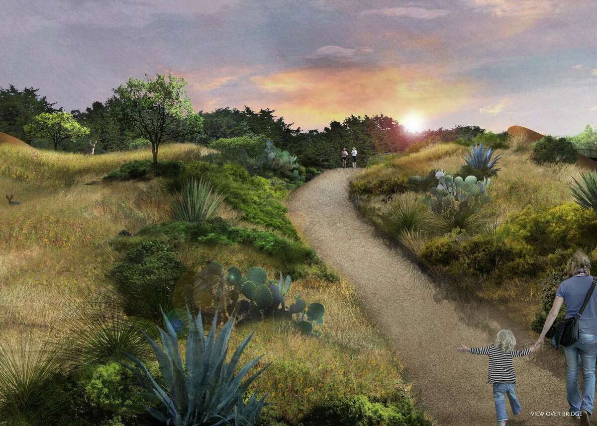 This is a rendering of how the land bridge will look when all of the vegetation has grown in. I will look “somewhat raw” when it opens, said former Mayor Phil Hardberger, a driving force behind the project at the park that bears his name.