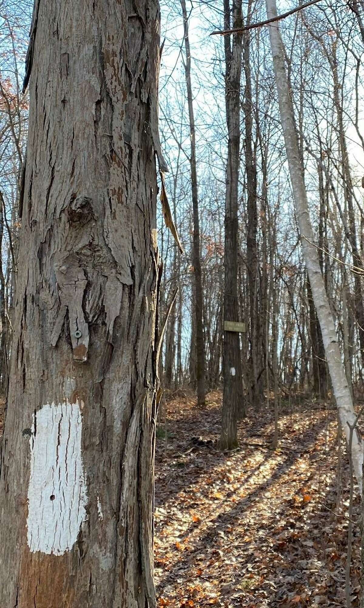 Hikers have access to the Appalachian Trail at several locations in Kent, including this one near Bull's Bridge.