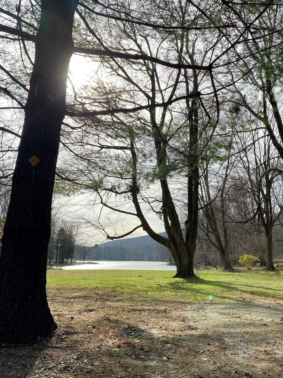 Sunlight peeks through the leafless trees along Spring Lake Road in Sherman.
