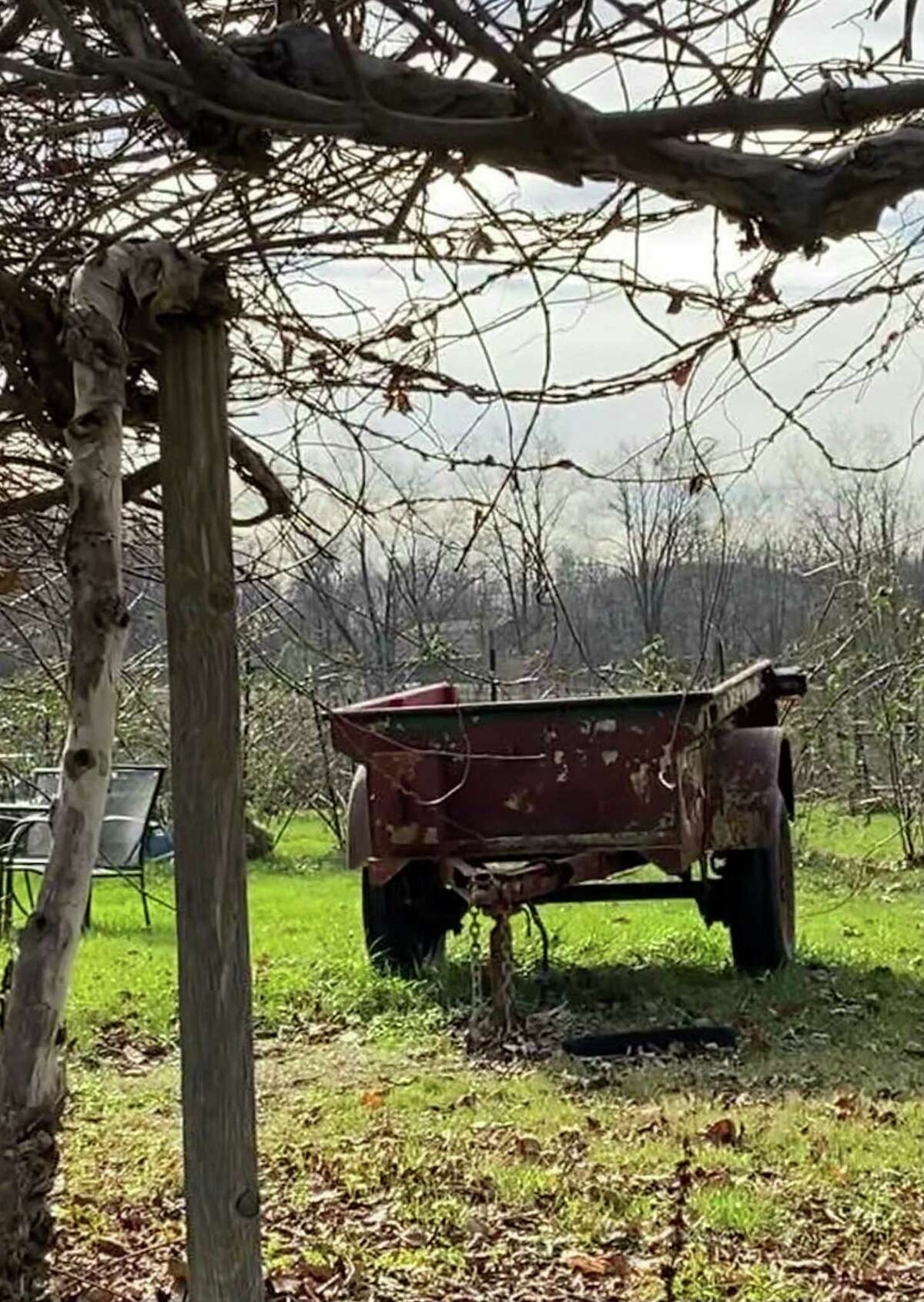 The rustic side of Sherman is showcased at White Silo Farm & Winery, a popular destination for residents and visitors.