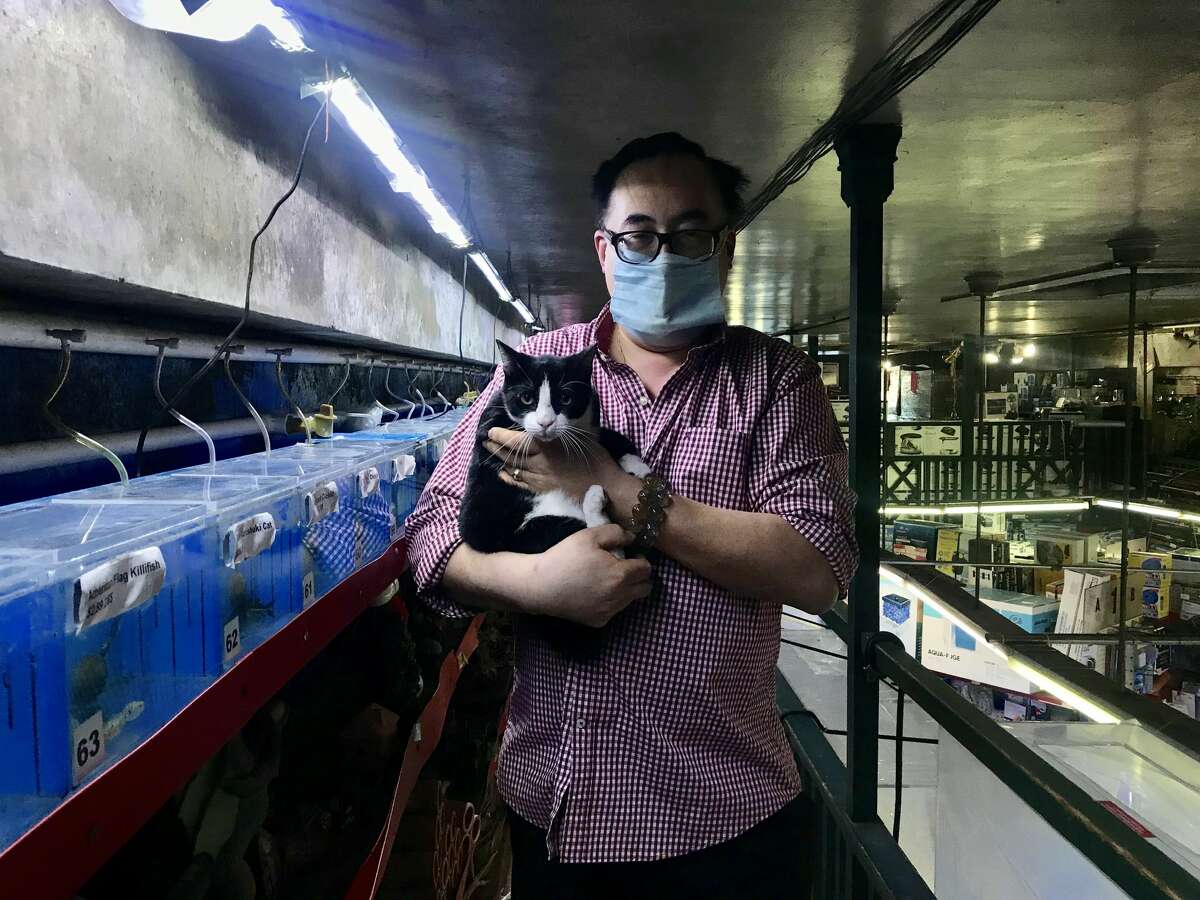 David Cheung, the owner of 6th Avenue Aquarium, poses for a photo with Rascal.