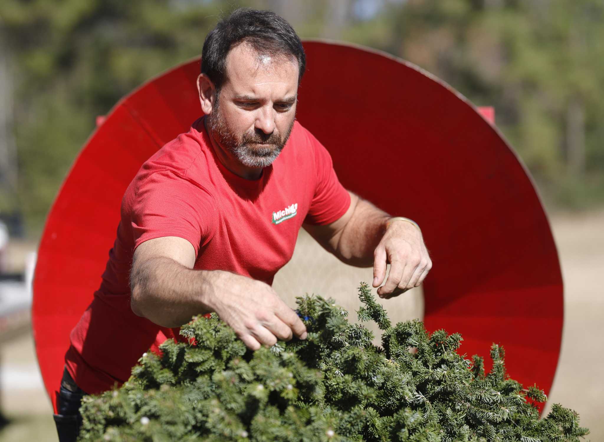 trucked-in-trees-see-increased-demand-amid-covid-19