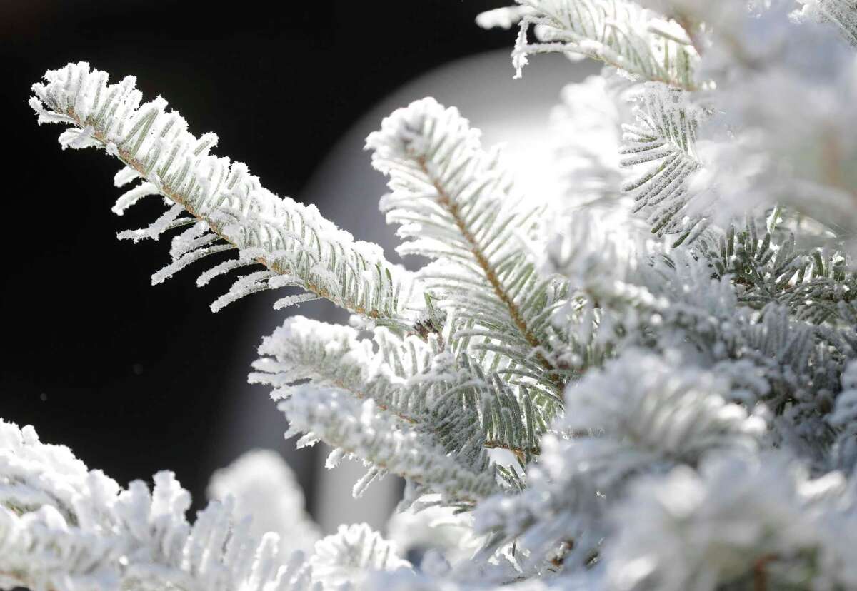 Trucked in trees see increased demand amid COVID19